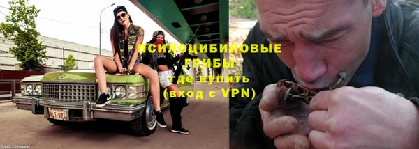 прущая мука Инсар