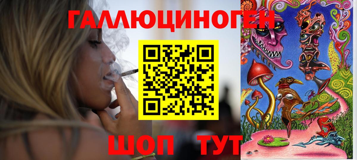 Галлюциногенные грибы Psilocybine cubensis Соль-Илецк