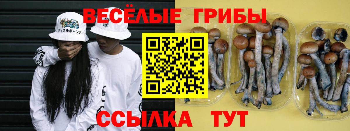 Псилоцибиновые грибы MAGIC MUSHROOMS  Вход с VPN  Соль-Илецк 